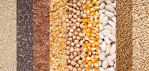 CEREALS & PULSES CEREALS & PULSES