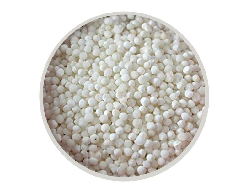 Organic Sabudana Small 250G