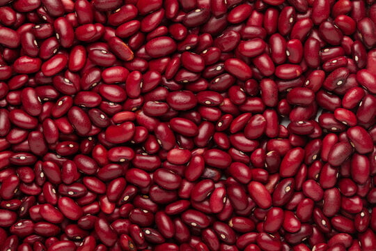 RED RAJMA 500 RED RAJMA 500