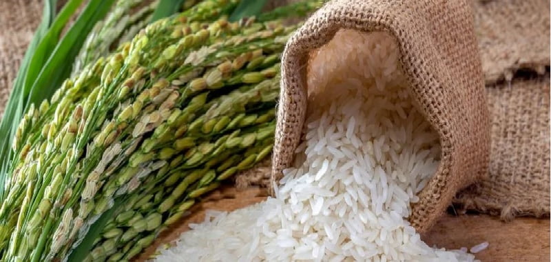 Rice GI Rice GI