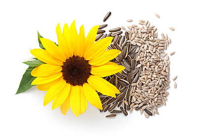 Sunflower seed 150G