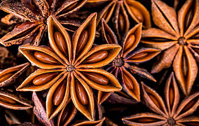 Star Anise 50G