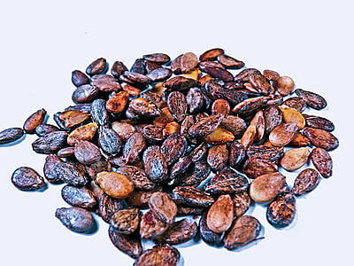 Watermelon seed 150G