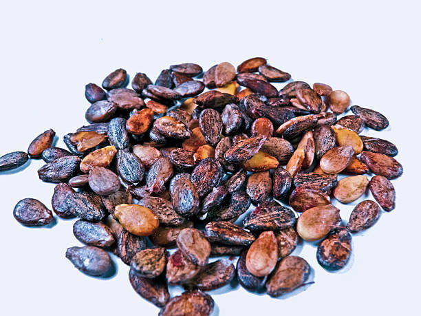 Watermelon seed 150G Watermelon seed 150G