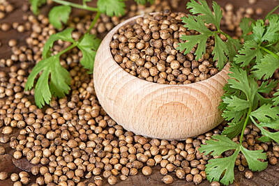 CORIANDER SEED   100 GMS