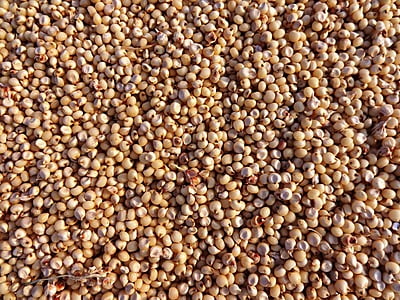 Jowar 1 kg