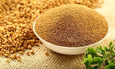 FENUGREEK POWDER  100 GMS