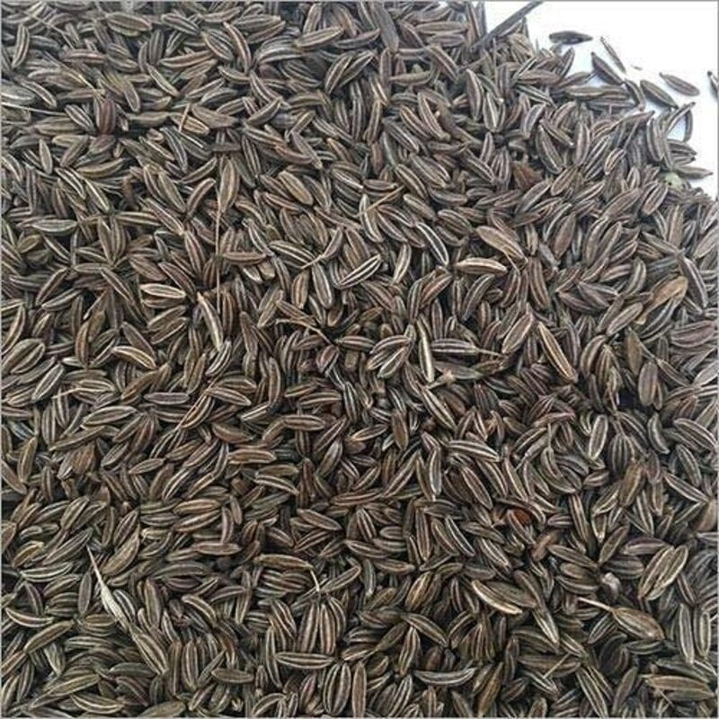 Shahjeera 50G
