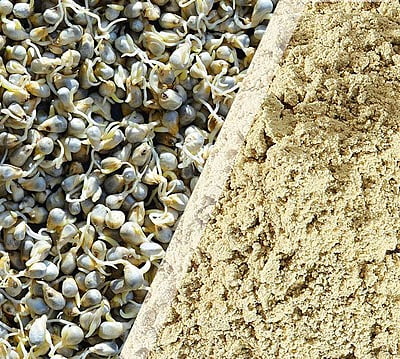 Bajra Flour - Sprouted