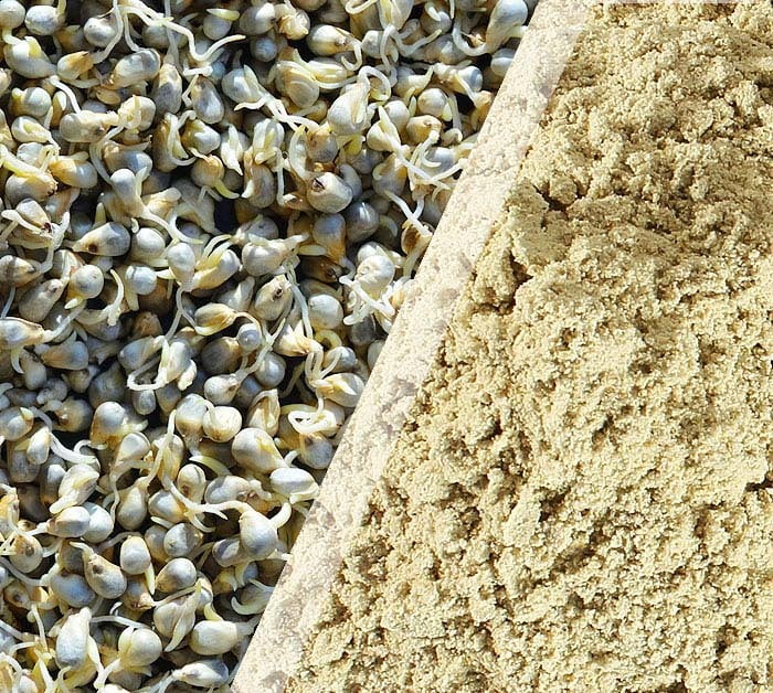 Bajra Flour - Sprouted