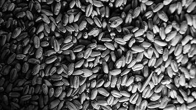 BLACK WHEAT 1 KG